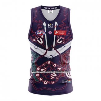 Camiseta Fremantle Dockers AFL 2024 Indigena