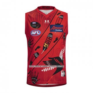 Camiseta Essendon Bombers AFL 2021 Indigena