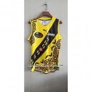 Camiseta Richmond Tigers AFL 2020-2021 Indigena